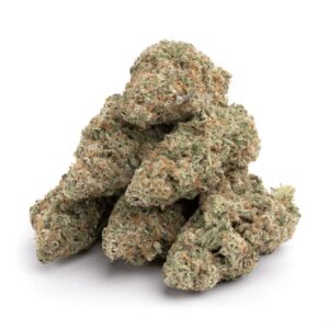 Animal Cookies Kush strain – Dense frosty buds with sweet vanilla and earthy aroma