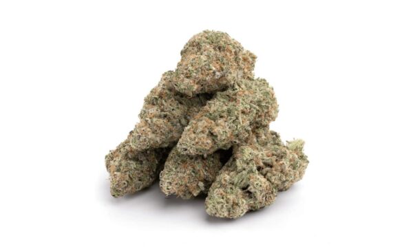 Animal Cookies Kush strain – Dense frosty buds with sweet vanilla and earthy aroma