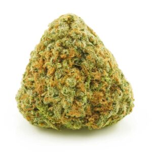 Durban Poison strain – A pure sativa cannabis strain with high THC, sweet earthy flavors, and energizing effects. Ideal for creativity, focus, and daytime use.