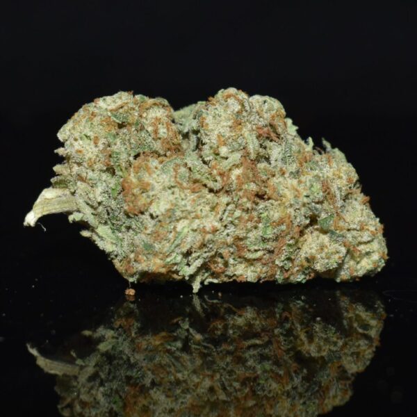 Gelato Kush - Image 3