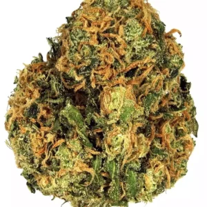 Green Crack Strain – A potent sativa-dominant cannabis strain known for its sweet citrus aroma, high THC levels, and energizing effects. Perfect for focus, creativity, and daytime use.