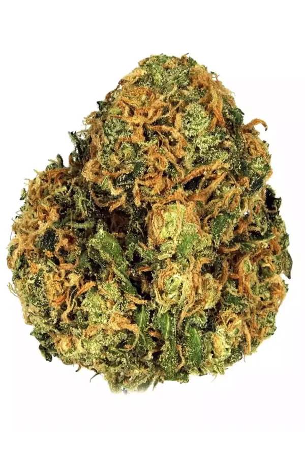 Green Crack Strain – A potent sativa-dominant cannabis strain known for its sweet citrus aroma, high THC levels, and energizing effects. Perfect for focus, creativity, and daytime use.