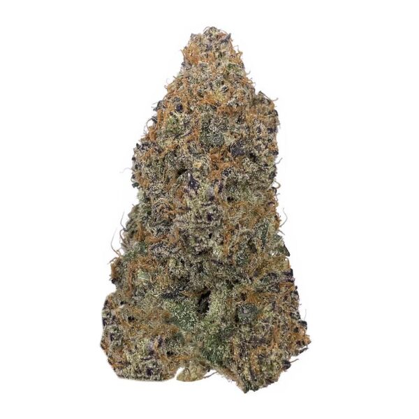 GMO Cookies (Garlic Cookies) strain – A powerful indica hybrid with 25-30% THC, delivering deep relaxation, pain relief, and a pungent diesel-garlic aroma.