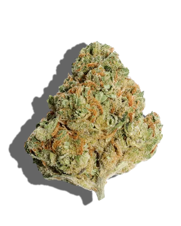 High-quality Sour Diesel cannabis strain with dense green buds, orange pistils, and frosty trichomes.