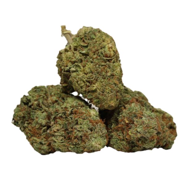 Maui Wowie cannabis strain with tropical flavors and uplifting effects