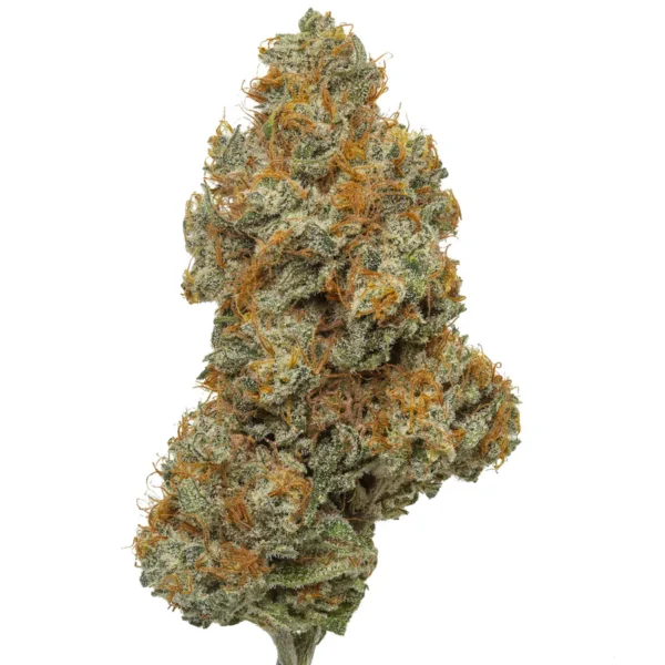 Northern Lights Kush strain – Dense frosty buds with deep green and purple hues, covered in trichomes. Perfect for relaxation, stress relief, and sleep.