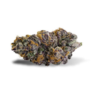 Purple Punch Kush strain featuring dense purple buds, frosty trichomes, and a sweet berry scent. High-THC indica hybrid for deep relaxation and stress relief.