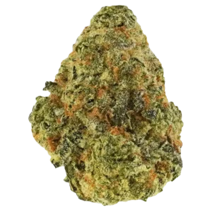 Slurricane Kush strain featuring dense, frosty buds with deep purple and green hues, covered in thick trichomes, offering a sweet berry and grape aroma.