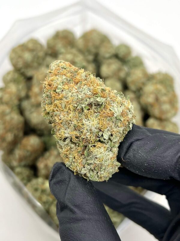 Wedding Cake Kush hybrid strain with high THC, sweet vanilla flavor, and powerful relaxing effects. Perfect for stress relief and deep relaxation