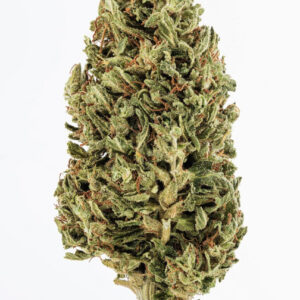 High-quality Jack Herer strain cannabis buds with vibrant green and orange hues, known for its uplifting sativa effects.