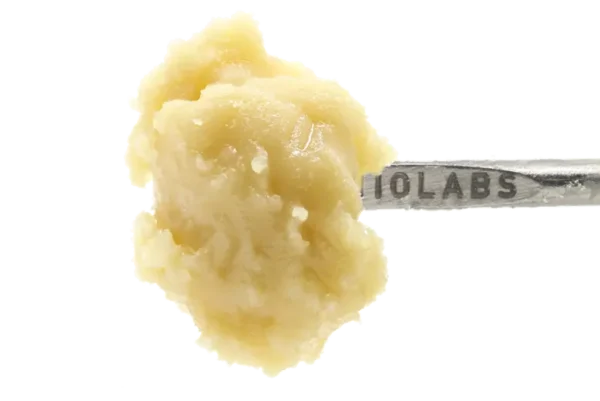 A jar of Persy Live Rosin – Cookies, a premium solventless cannabis concentrate with a golden, creamy texture, crafted for maximum flavor and potency.
