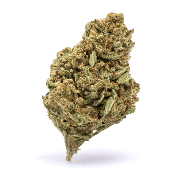 High-quality Amnesia Haze strain with citrus aroma, uplifting effects, and high THC content