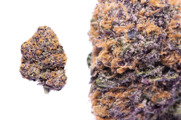 Granddaddy Purple - Image 2