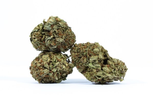 Sour Kush cannabis buds – dense, frosty nugs with orange hairs and green leaves, premium hybrid strain for relaxation and pain relief.
